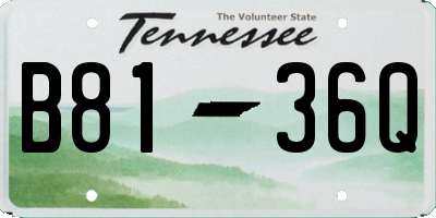 TN license plate B8136Q