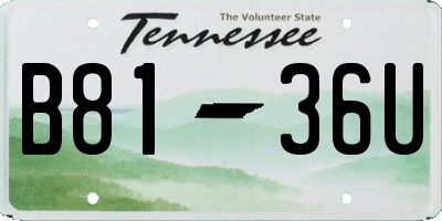 TN license plate B8136U