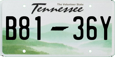 TN license plate B8136Y