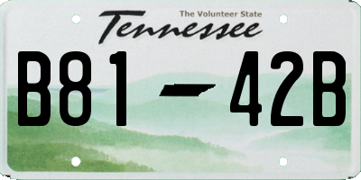TN license plate B8142B