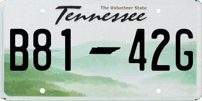 TN license plate B8142G