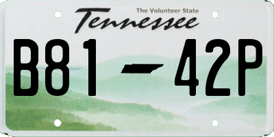 TN license plate B8142P