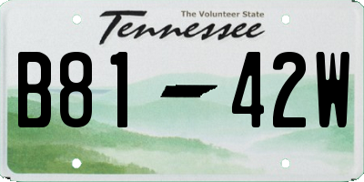 TN license plate B8142W