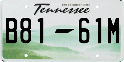 TN license plate B8161M