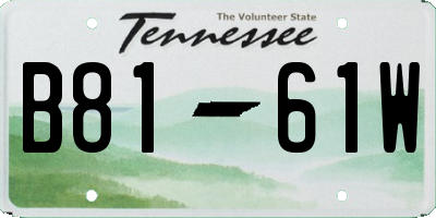 TN license plate B8161W