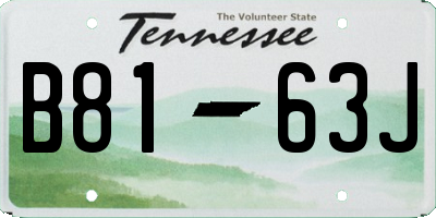 TN license plate B8163J