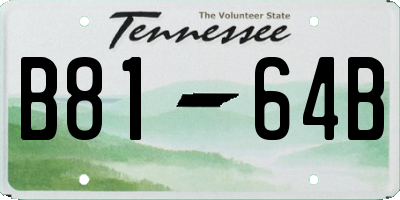 TN license plate B8164B