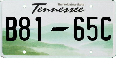 TN license plate B8165C