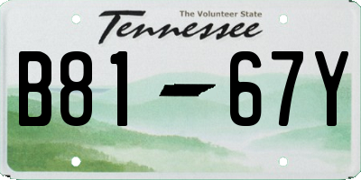 TN license plate B8167Y
