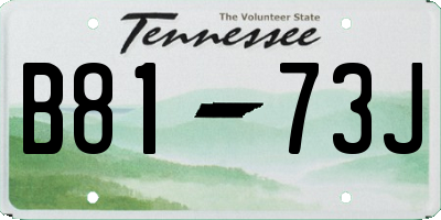 TN license plate B8173J