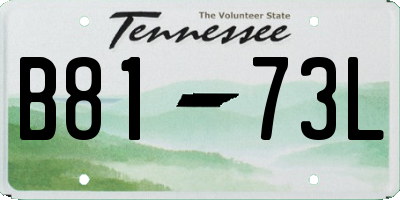 TN license plate B8173L