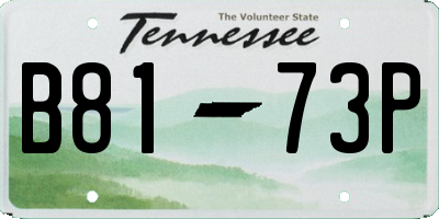 TN license plate B8173P