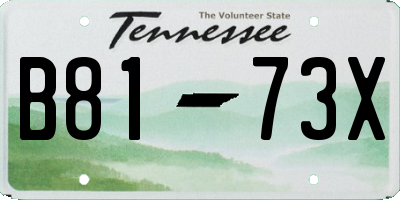 TN license plate B8173X