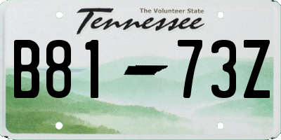 TN license plate B8173Z