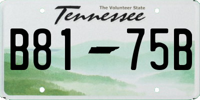 TN license plate B8175B