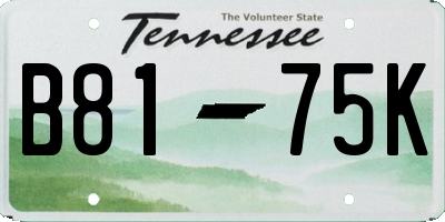 TN license plate B8175K
