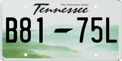 TN license plate B8175L