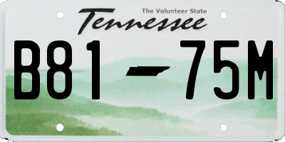 TN license plate B8175M