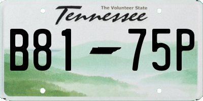 TN license plate B8175P