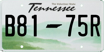 TN license plate B8175R