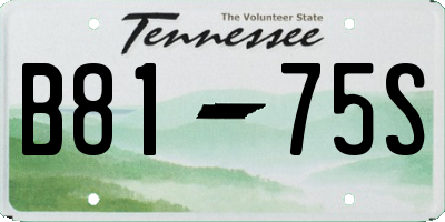 TN license plate B8175S