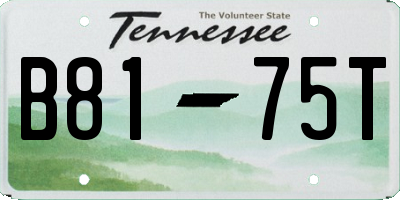 TN license plate B8175T