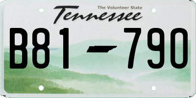 TN license plate B8179O