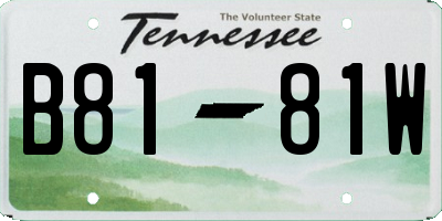 TN license plate B8181W