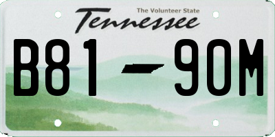 TN license plate B8190M