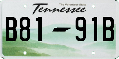 TN license plate B8191B