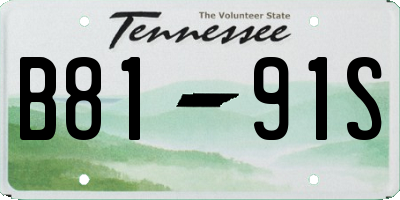 TN license plate B8191S