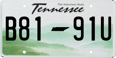 TN license plate B8191U
