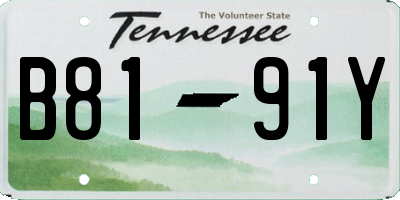 TN license plate B8191Y