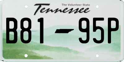 TN license plate B8195P