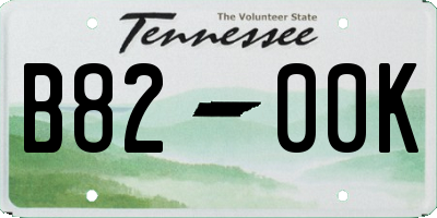 TN license plate B8200K