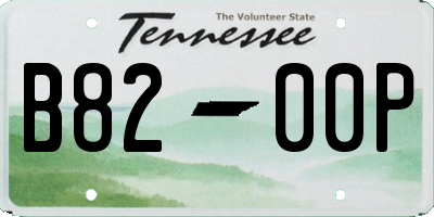 TN license plate B8200P
