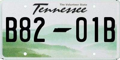 TN license plate B8201B