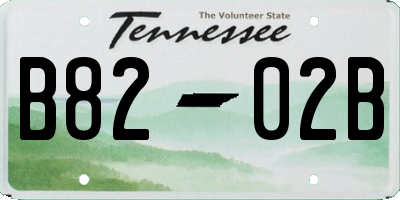 TN license plate B8202B