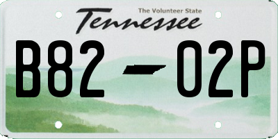 TN license plate B8202P