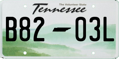 TN license plate B8203L