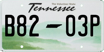 TN license plate B8203P