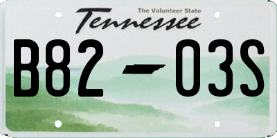 TN license plate B8203S