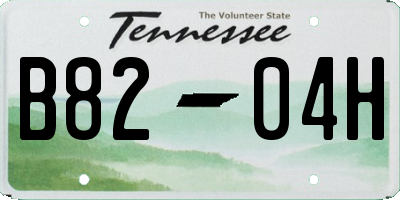 TN license plate B8204H
