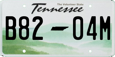 TN license plate B8204M