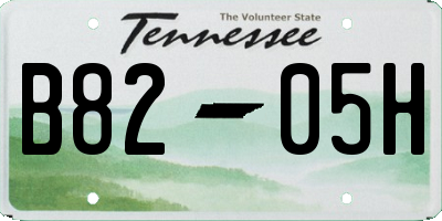 TN license plate B8205H