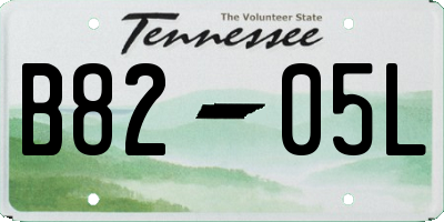 TN license plate B8205L