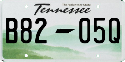 TN license plate B8205Q