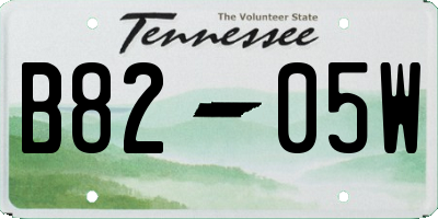 TN license plate B8205W
