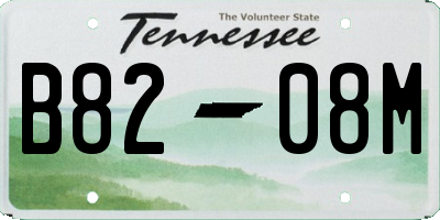 TN license plate B8208M