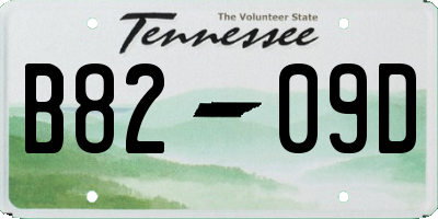 TN license plate B8209D